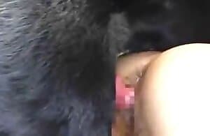 Quan hệ tình dục vườn thú đầy đam mê với một cô gái hấp dẫn Nhật Bản