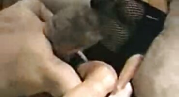 sex vú to tây Kimm kim kim được fucked bởi một người lạ và bị phim set gai dep ướt với kiêm.